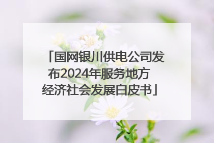 国网银川供电公司发布2024年服务地方经济社会发展白皮书