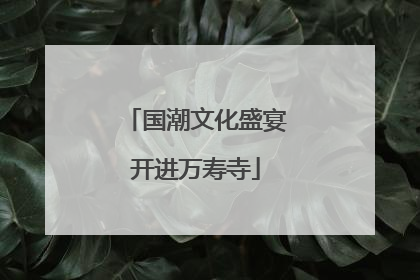 国潮文化盛宴开进万寿寺