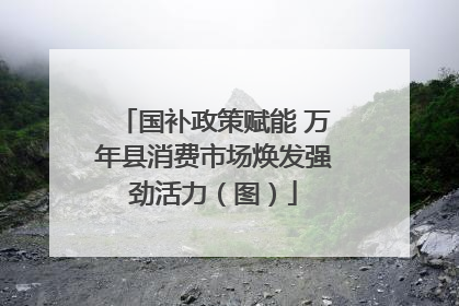 国补政策赋能 万年县消费市场焕发强劲活力（图）