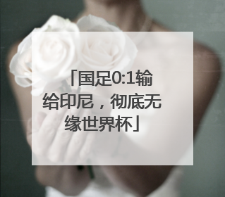 国足0:1输给印尼，彻底无缘世界杯