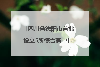 四川省德阳市首批设立5所综合高中