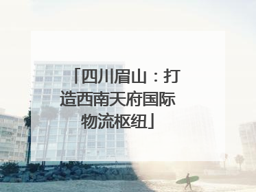四川眉山：打造西南天府国际物流枢纽