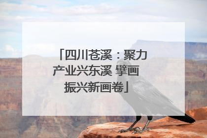 四川苍溪：聚力产业兴东溪 擘画振兴新画卷