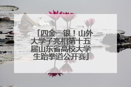 四金一银！山外大学子亮相第十五届山东省高校大学生跆拳道公开赛