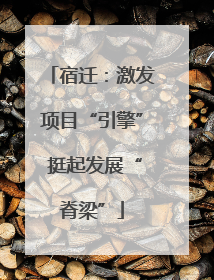 宿迁：激发项目“引擎” 挺起发展“脊梁”