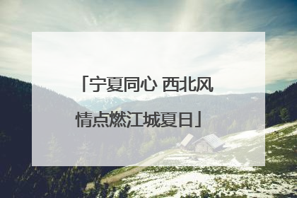宁夏同心 西北风情点燃江城夏日