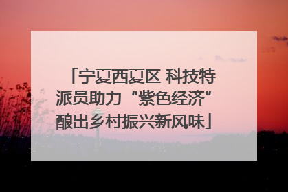 宁夏西夏区 科技特派员助力“紫色经济”酿出乡村振兴新风味