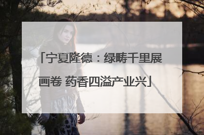 宁夏隆德：绿畴千里展画卷 药香四溢产业兴