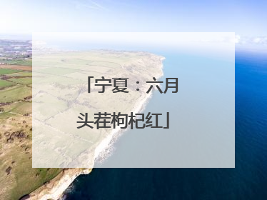 宁夏：六月头茬枸杞红