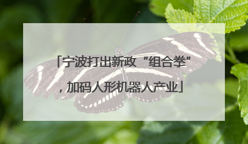 宁波打出新政“组合拳”，加码人形机器人产业
