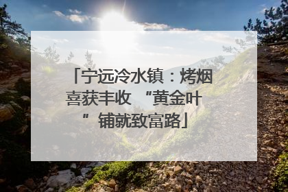 宁远冷水镇：烤烟喜获丰收 “黄金叶”铺就致富路