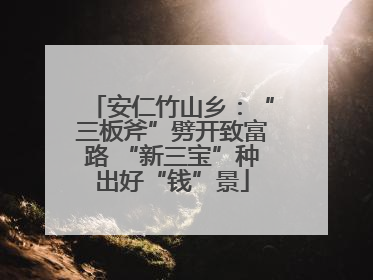 安仁竹山乡：“三板斧”劈开致富路 “新三宝”种出好“钱”景