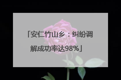 安仁竹山乡：纠纷调解成功率达98%