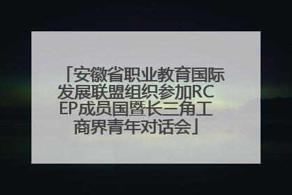 安徽省职业教育国际发展联盟组织参加RCEP成员国暨长三角工商界青年对话会