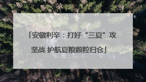 安徽利辛：打好“三夏”攻坚战 护航夏粮颗粒归仓