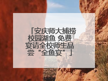 安庆师大捕捞校园湖鱼 免费宴请全校师生品尝“全鱼宴”