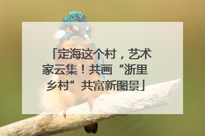 定海这个村，艺术家云集！共画“浙里乡村”共富新图景