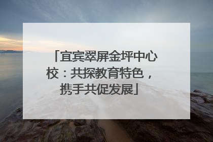宜宾翠屏金坪中心校：共探教育特色，携手共促发展