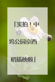 实拍！中坞公园京西稻插秧啦