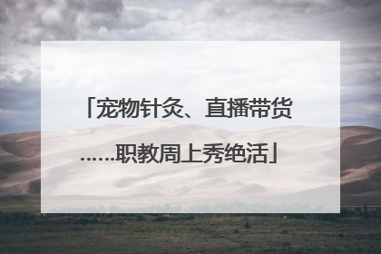 宠物针灸、直播带货……职教周上秀绝活