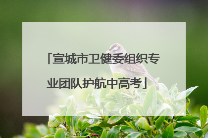 宣城市卫健委组织专业团队护航中高考