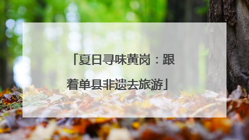 夏日寻味黄岗：跟着单县非遗去旅游