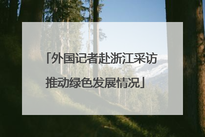 外国记者赴浙江采访推动绿色发展情况