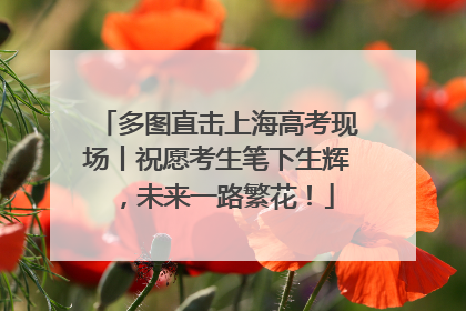 多图直击上海高考现场丨祝愿考生笔下生辉，未来一路繁花！