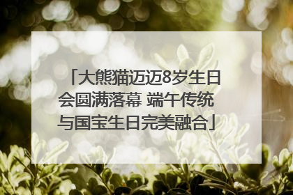 大熊猫迈迈8岁生日会圆满落幕 端午传统与国宝生日完美融合