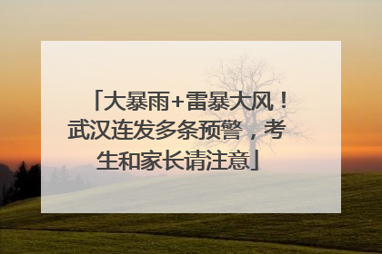 大暴雨+雷暴大风！武汉连发多条预警，考生和家长请注意