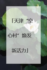天津“空心村”焕发新活力