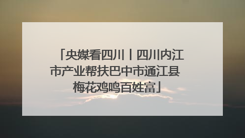 央媒看四川丨四川内江市产业帮扶巴中市通江县 梅花鸡鸣百姓富