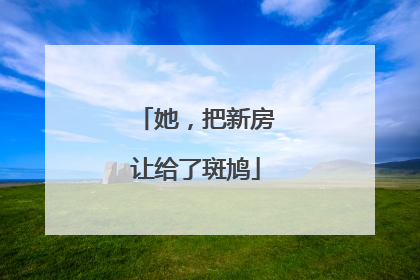 她，把新房让给了斑鸠