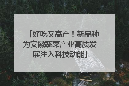 好吃又高产！新品种为安徽蔬菜产业高质发展注入科技动能