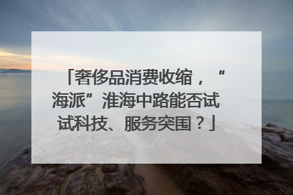 奢侈品消费收缩，“海派”淮海中路能否试试科技、服务突围？