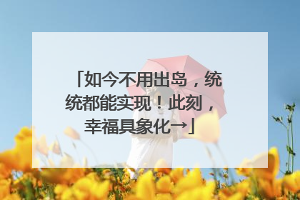 如今不用出岛，统统都能实现！此刻，幸福具象化→