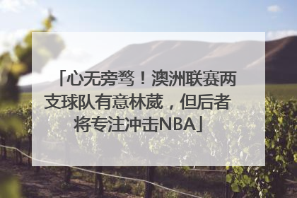 心无旁骛！澳洲联赛两支球队有意林葳，但后者将专注冲击NBA
