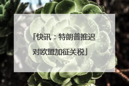 快讯：特朗普推迟对欧盟加征关税