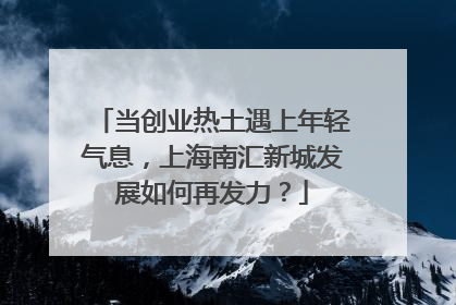当创业热土遇上年轻气息，上海南汇新城发展如何再发力？