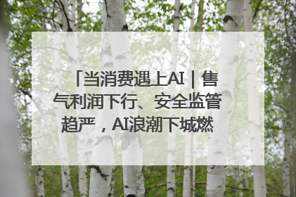 当消费遇上AI｜售气利润下行、安全监管趋严，AI浪潮下城燃企业如何破局