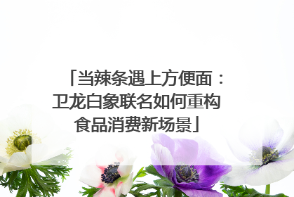 当辣条遇上方便面：卫龙白象联名如何重构食品消费新场景