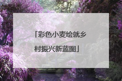 彩色小麦绘就乡村振兴新蓝图