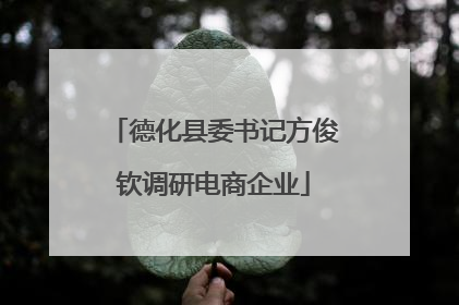 德化县委书记方俊钦调研电商企业