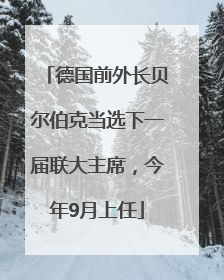 德国前外长贝尔伯克当选下一届联大主席，今年9月上任