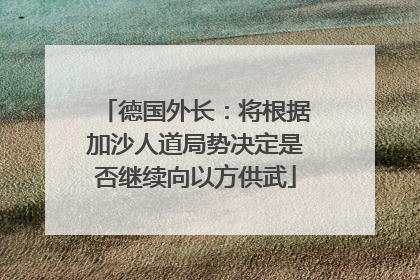 德国外长：将根据加沙人道局势决定是否继续向以方供武