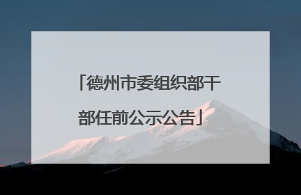德州市委组织部干部任前公示公告