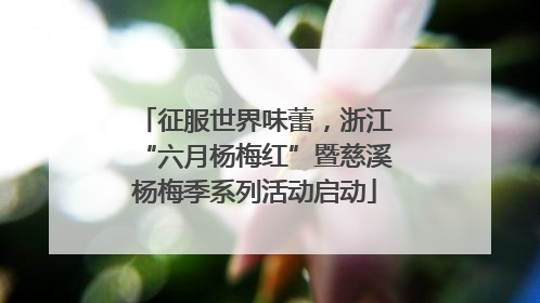 征服世界味蕾，浙江“六月杨梅红”暨慈溪杨梅季系列活动启动
