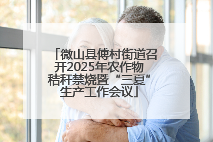 微山县傅村街道召开2025年农作物秸秆禁烧暨“三夏”生产工作会议