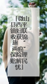 微山县西平镇妇联收获锦旗 “两癌”保险理赔解民忧