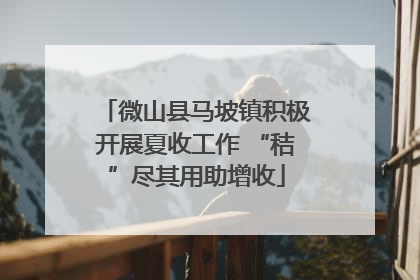 微山县马坡镇积极开展夏收工作 “秸”尽其用助增收